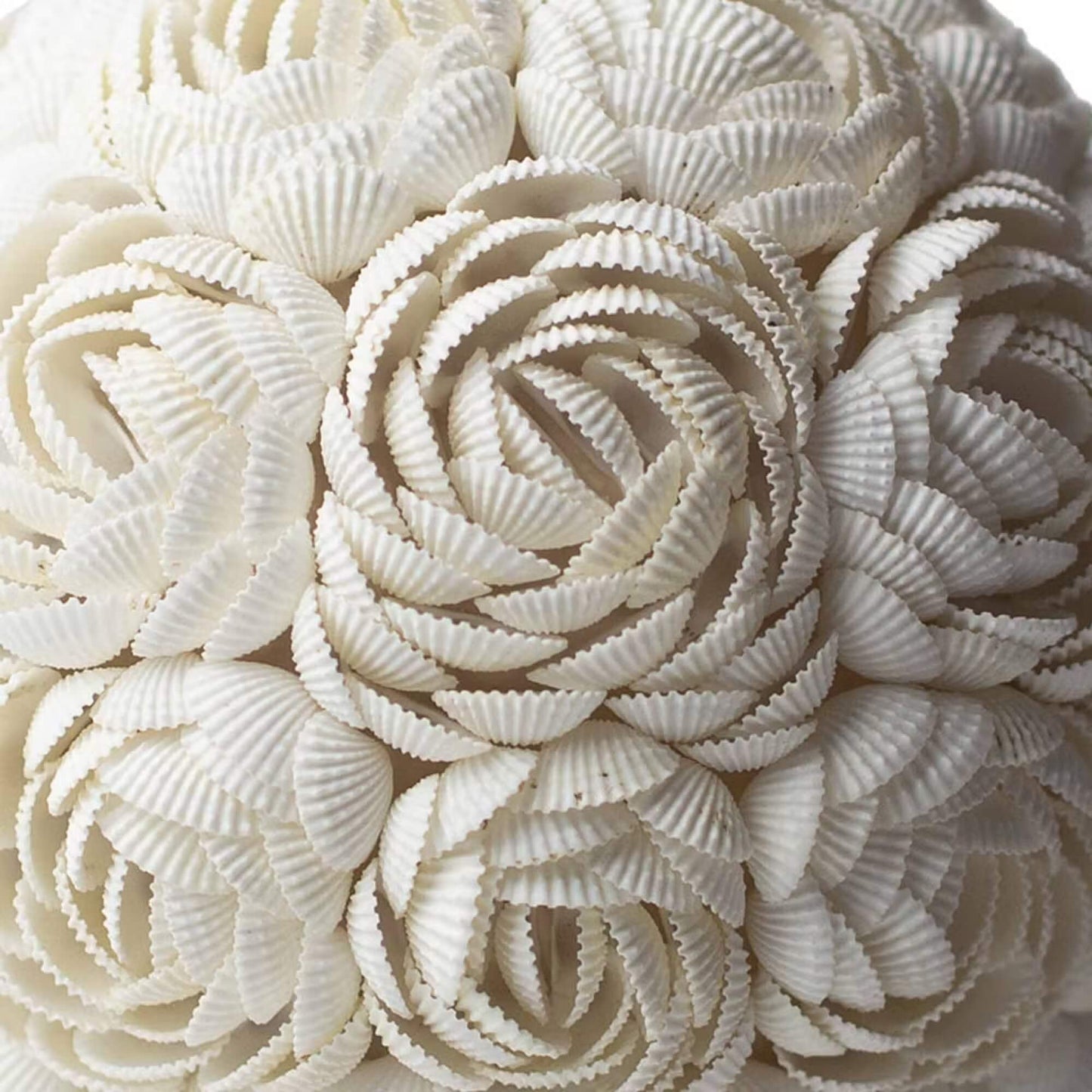Détail macro des roses de coquillages assemblées à la main sur la lampe œuf.