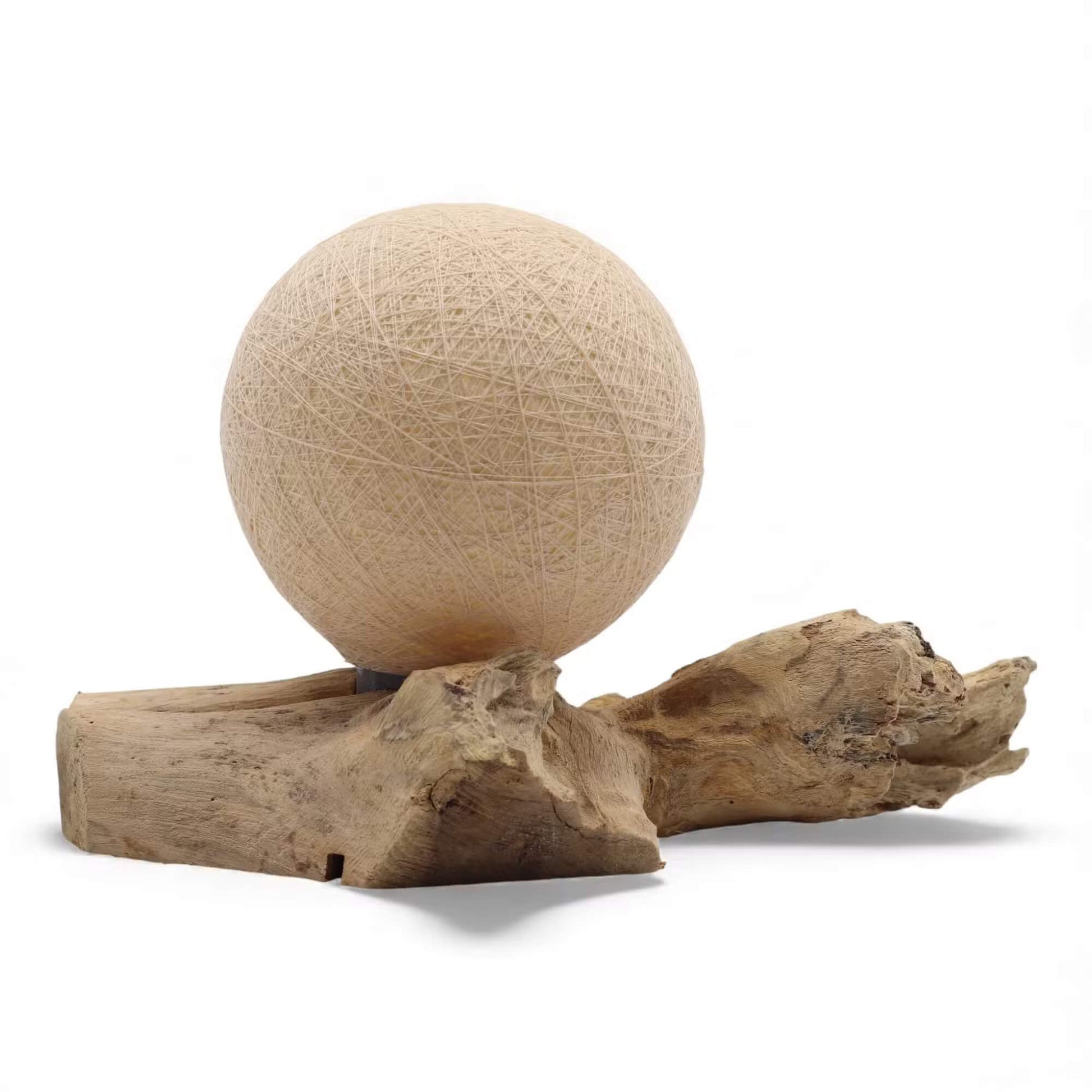 Lampe boule cocon crème éteinte sur souche de bois flotté brut sur fond blanc