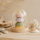 Lampe dôme aux 3 oursins pastel sous cloche en verre dans un décor de plage.