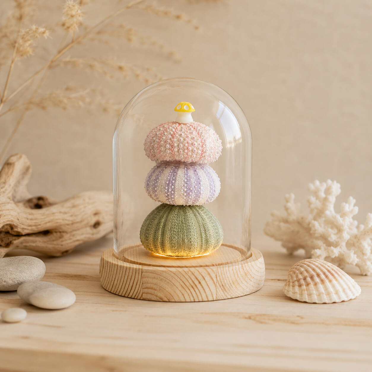 Lampe dôme aux 3 oursins pastel sous cloche en verre dans un décor de plage.
