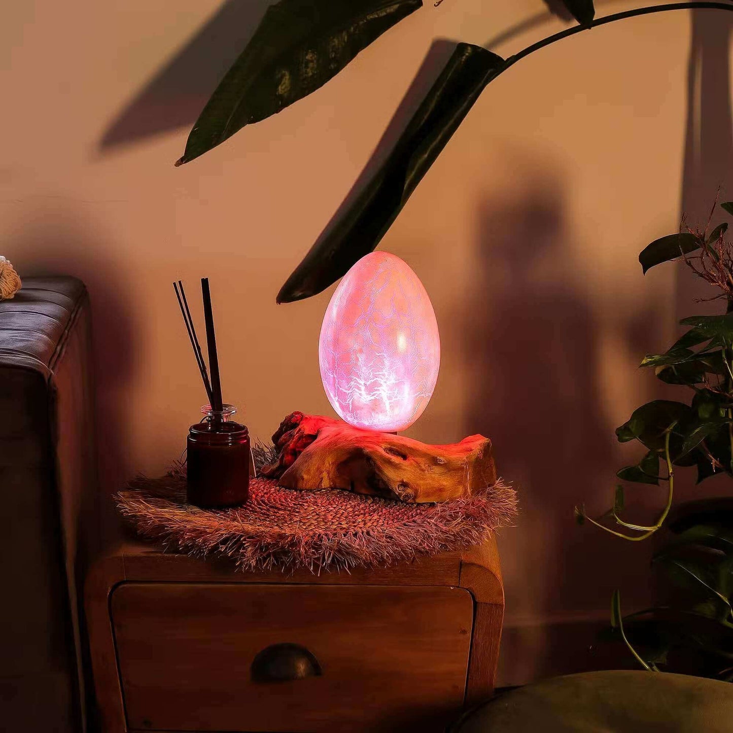 Lampe œuf rose craquelé allumée sur racine de bois flotté dans un salon cosy.